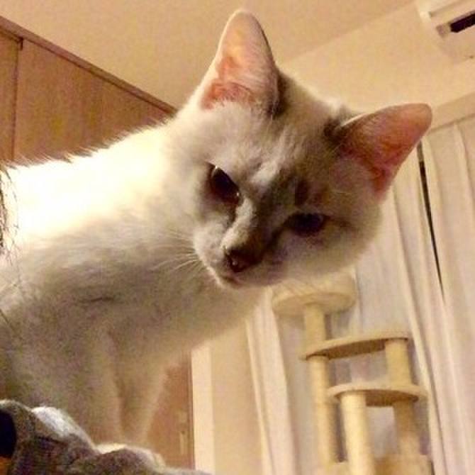 7a2b118e f0f9 4886 982c 52f38560fc78