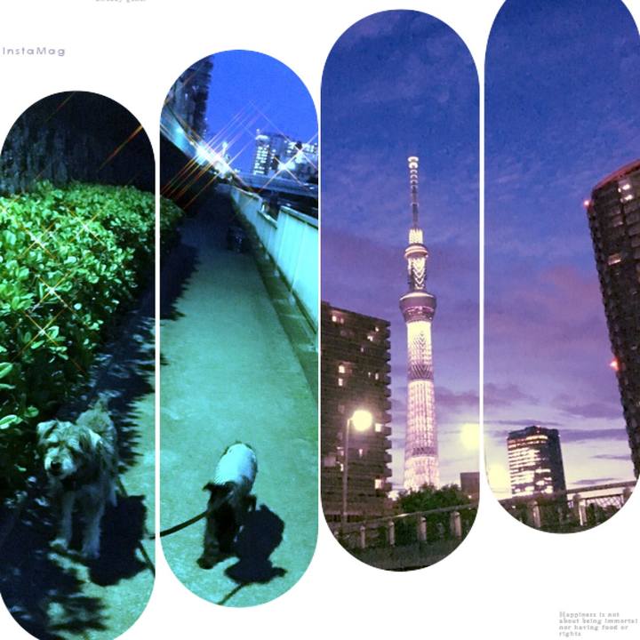 7a2b473b 4d97 4752 8ba3 eeda9cb1be69