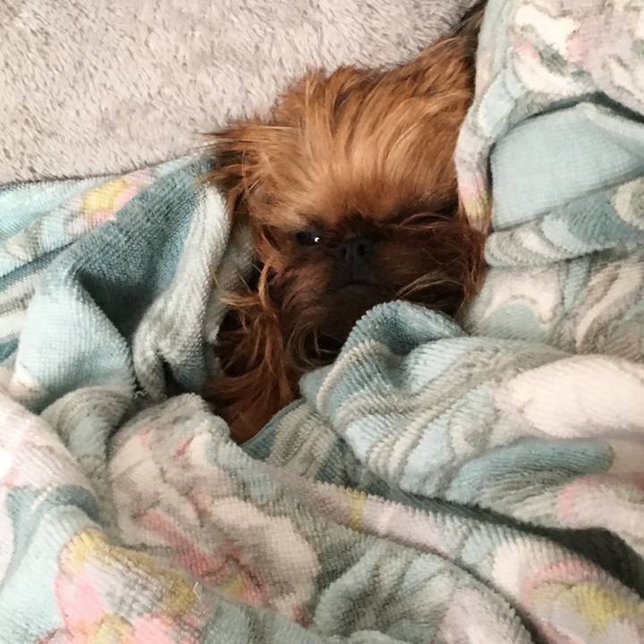 7a2b75ce a92f 4178 8c2f f7434ab72f6b