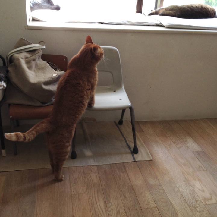 7a2ca955 ccab 4905 9a3a d18b540c14a5