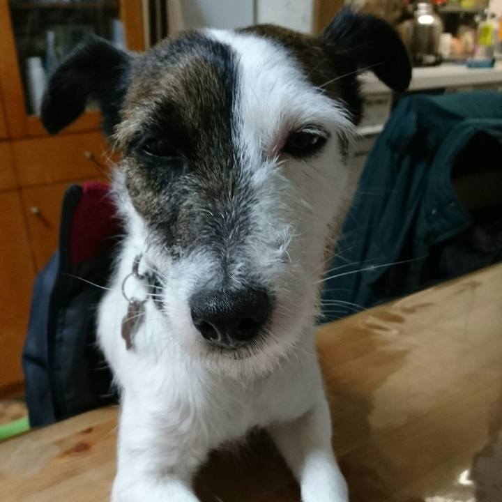 7a2d4a00 ee52 4587 aab7 a238faaaa17a