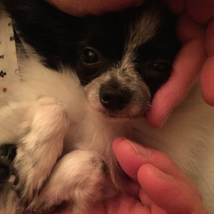 7a2e255b dd5a 44de 8c8e df0018dd76cf