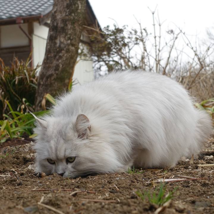 7a2e79c7 1c22 4c36 b21f 13b97fffc8a0