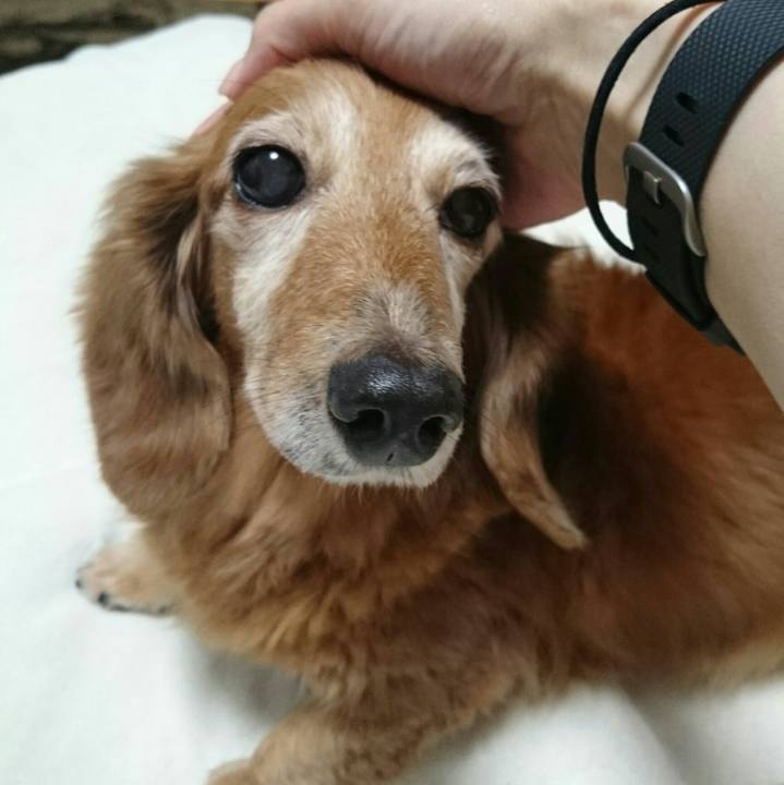 7a2eaed9 f892 4e53 adf6 9203b6a21664