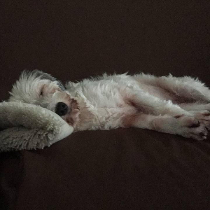 7a2f07c9 5271 486c a085 6f95ac9ef1ff