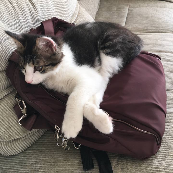 7a2f5cf4 e040 4863 bcf4 34b07c2abc6f