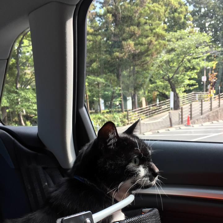 7a2f5edd 500f 4564 abb7 2292015c44e1