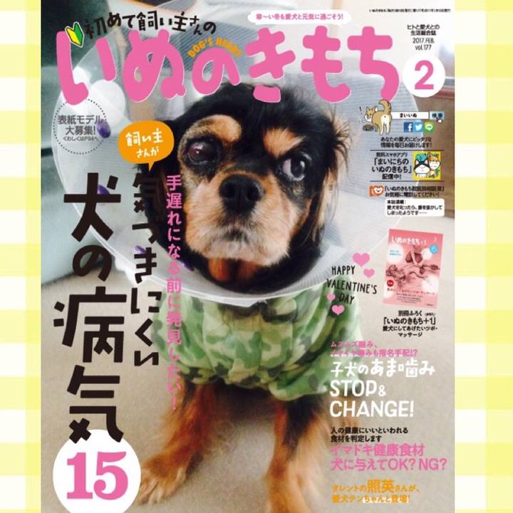 7a2f7de8 880b 432e b4bb d81bb39d4770