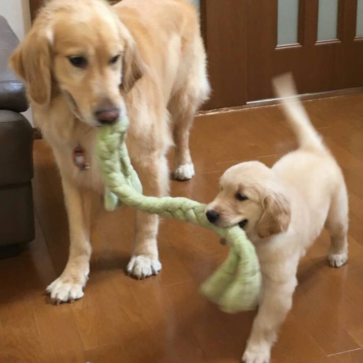 7a2f85dd ffc0 4e2d 8a7f df93fe0ec9da