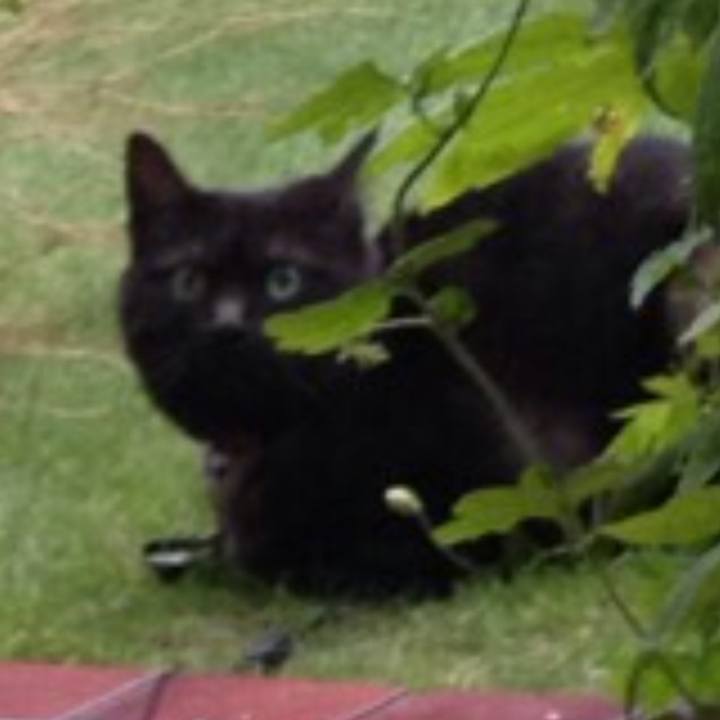 7a2fc167 9934 498d a4a6 5f81d1bc0f95