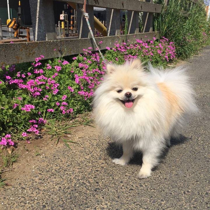 7a3048d6 9d74 444d 8244 e6d4ec48f4b4