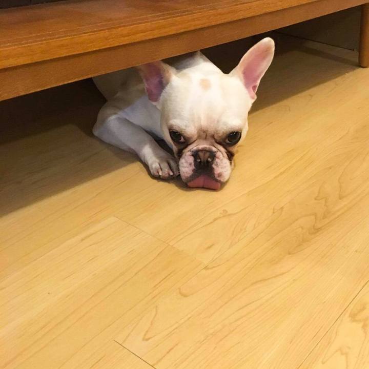 7a30a8a2 1ffa 48b0 9bf0 183e4173ab1c