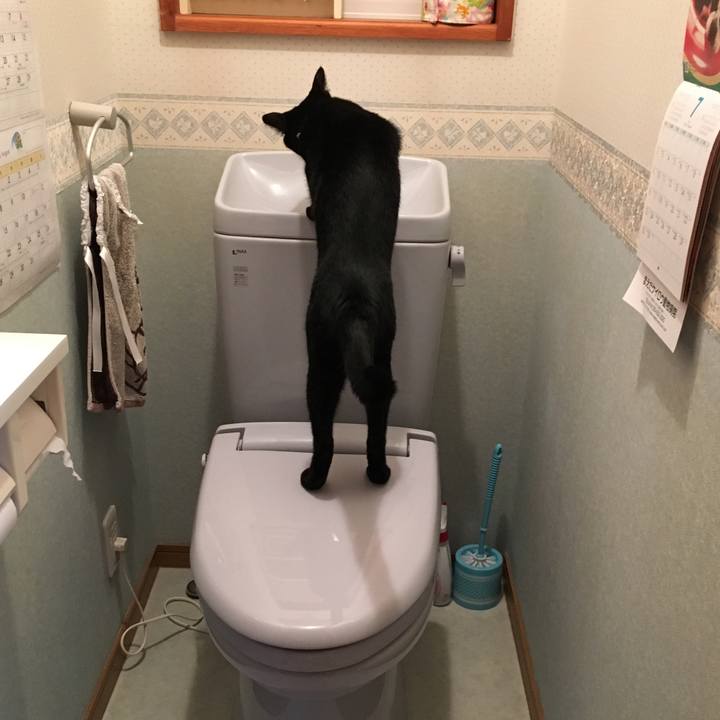 7a30f369 e31d 4054 84af 1a6f80157bed