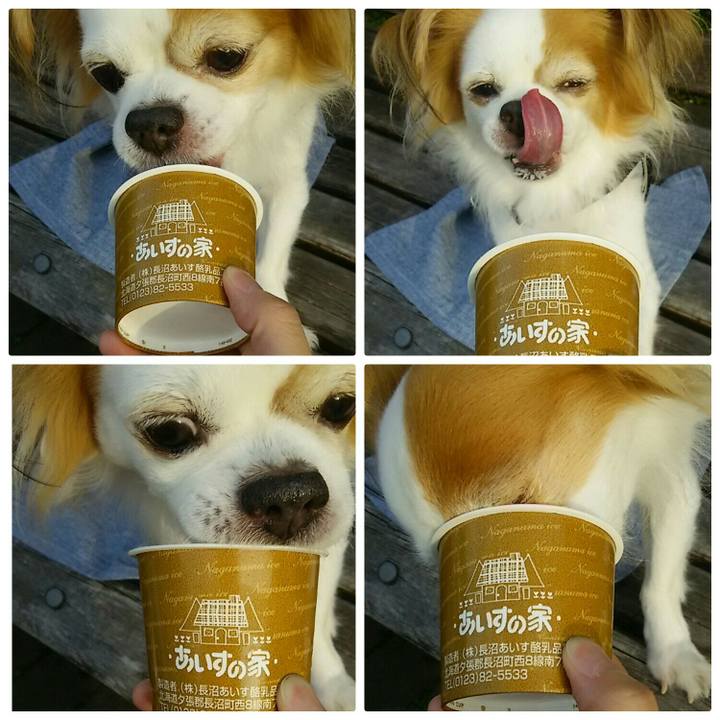 7a31056e 0b80 4d41 9b42 17bad51af430