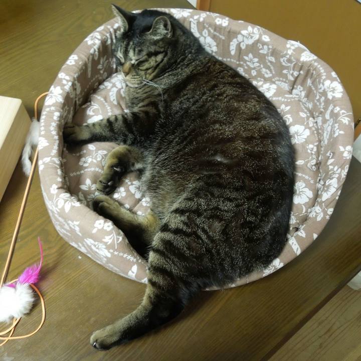 7a312999 a578 4c40 8739 ac2f464e3ee5