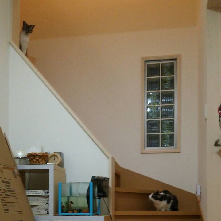 7a31850d 37fe 4c1d 9987 c9f5a2ad80e0