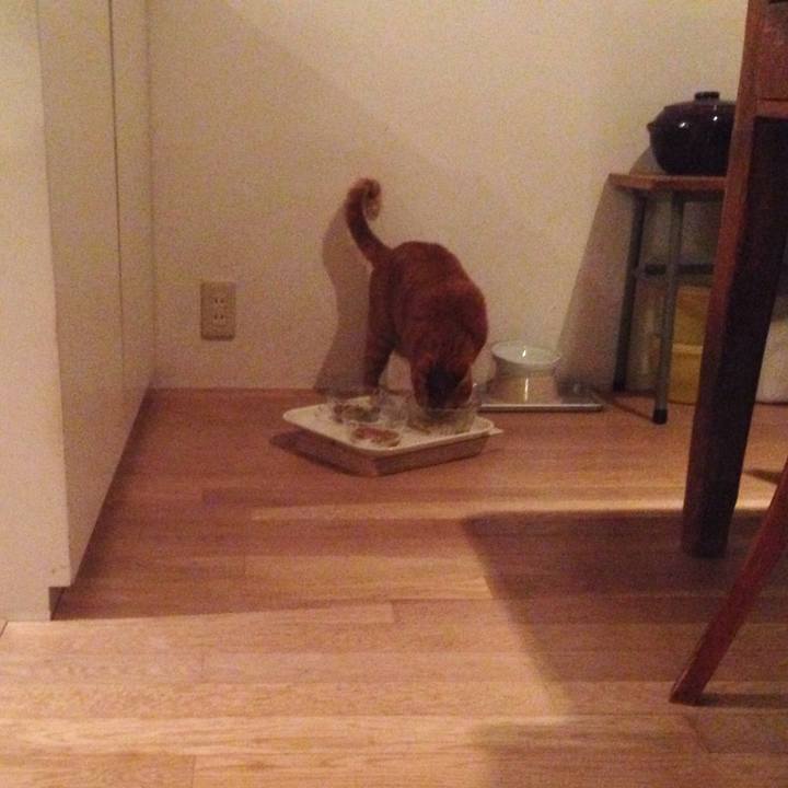 7a3201d8 018a 4ba8 9657 efc504224722