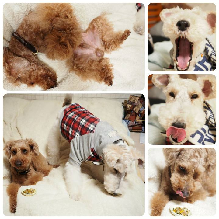 7a327d24 deec 4f19 a9de cacbfd7a020e