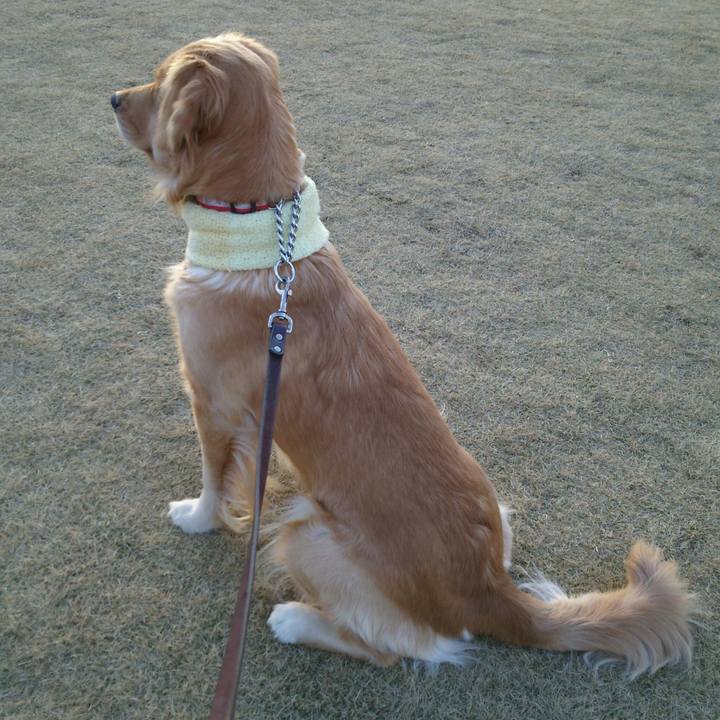 7a328913 e84d 4d71 aecc c1ba63a78a90