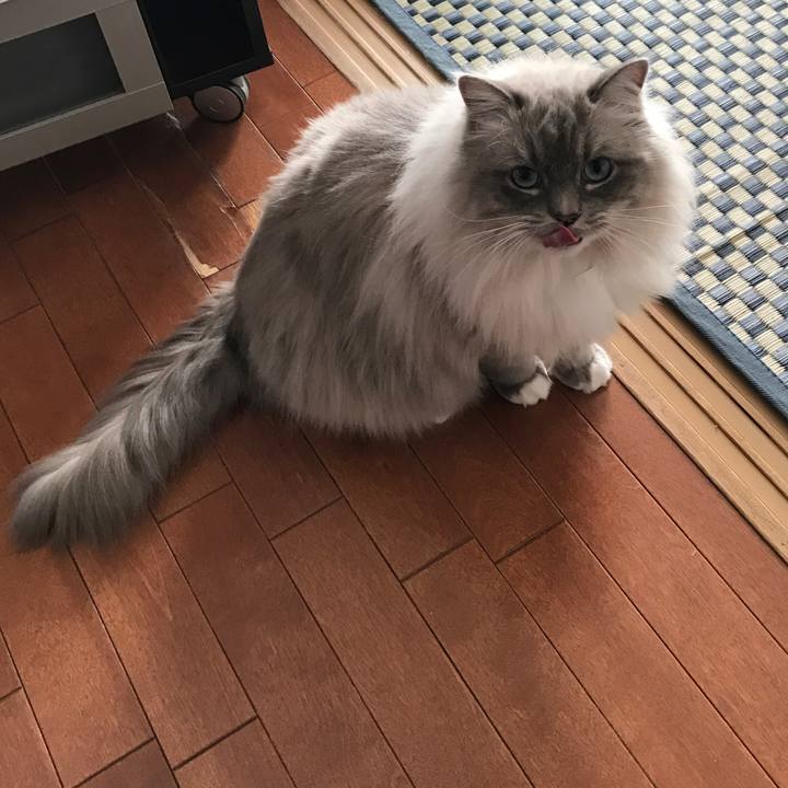 7a3338df e084 47c9 bdb3 b4abfbd21266