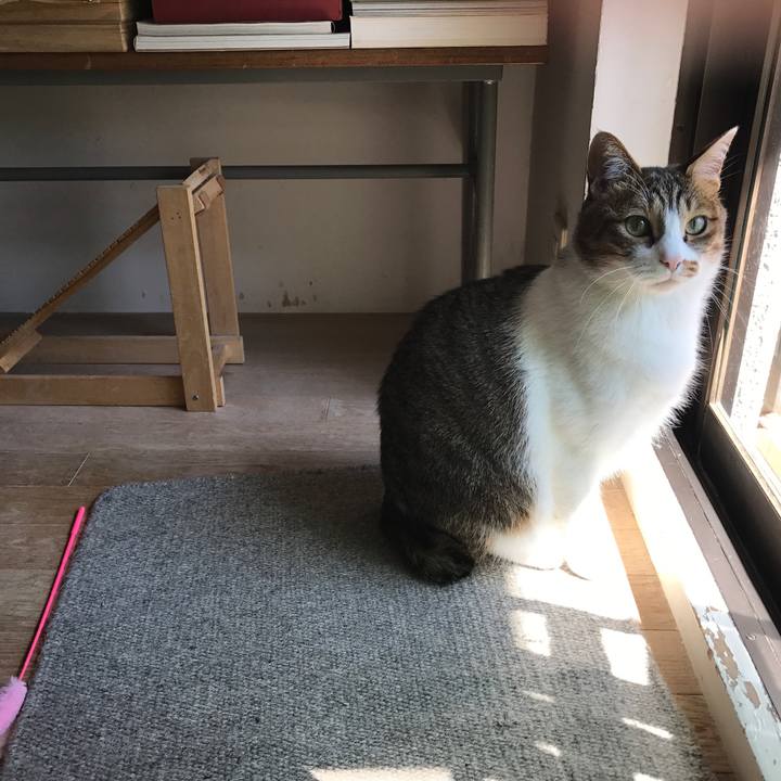 7a335ec6 d9c6 4484 bc3c 81b4f9572ccf