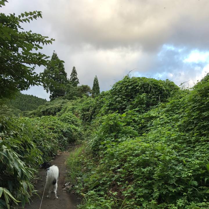 7a336d23 9532 4079 8495 41c44ac2b6d6