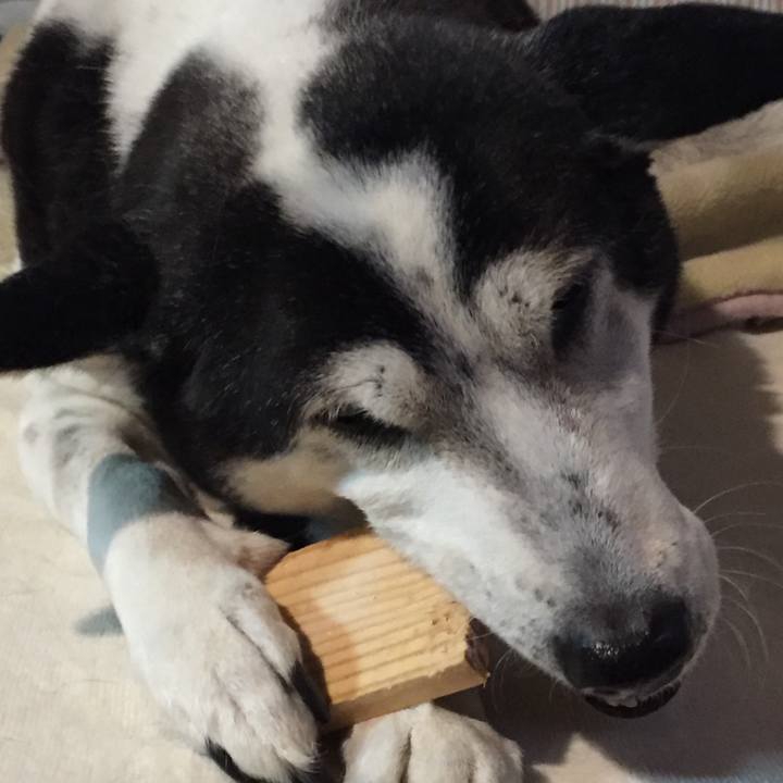 7a339b22 8cc2 49be 9cba 65e5db0bead8