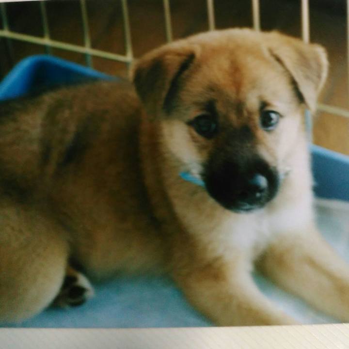 7a346a49 56bd 4605 9f24 79c4a6765e03