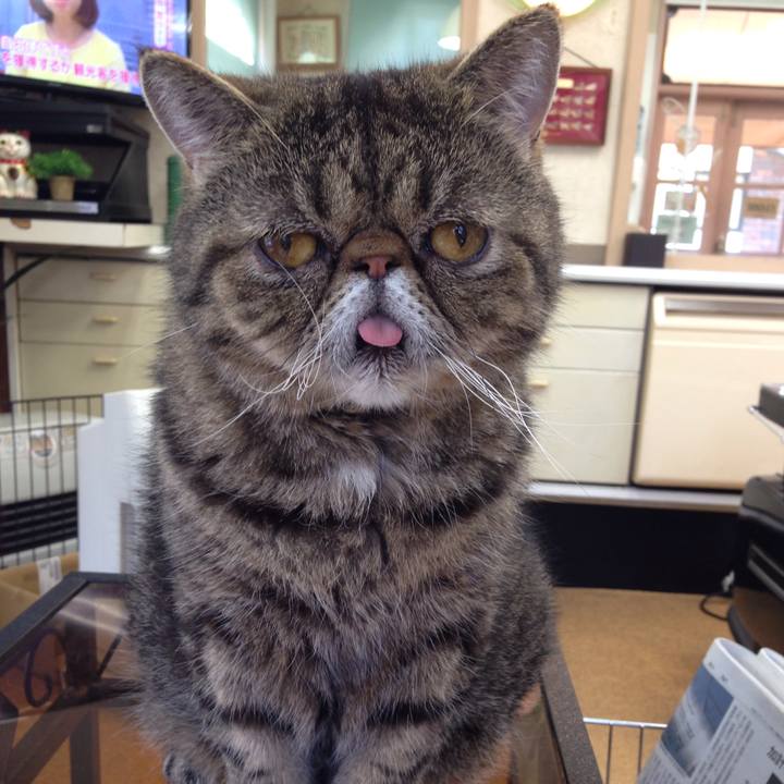 7a34b5ab 3667 470a b736 f84a8a8d9237