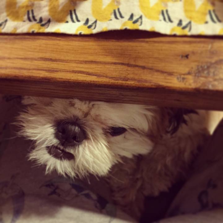 7a353703 21f5 46f5 9126 9f33616c5ec9