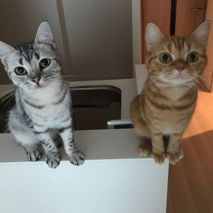 7a35fcf1 9f9f 460d aea0 68379343f847