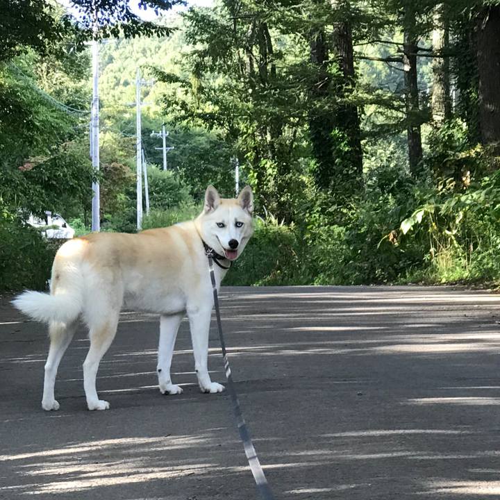 7a360989 f5fc 47a6 ad15 97bc169c9896