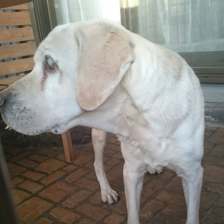 7a364e29 994b 4c18 a779 10b3077ef5c6