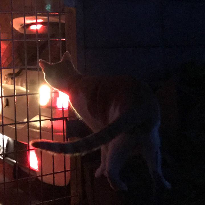 7a365245 cbb6 4ea7 9827 a6b9a97208fd