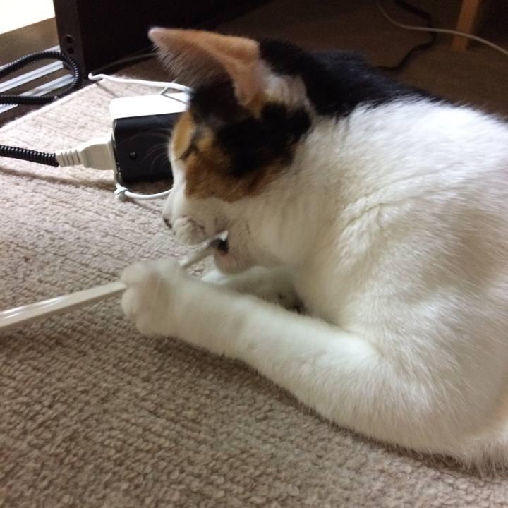 7a3656db ca0a 45d4 b062 cde7a7badd58