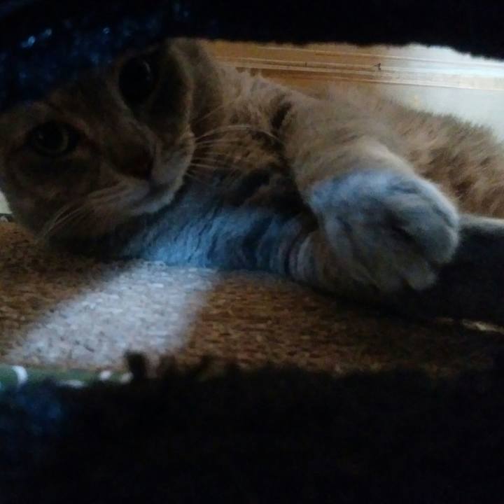 7a36d1f4 2cef 4308 98d1 802fbcefb55b