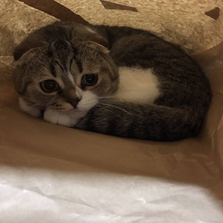 7a36e1fb 768d 48a0 807b 707ea98df08f