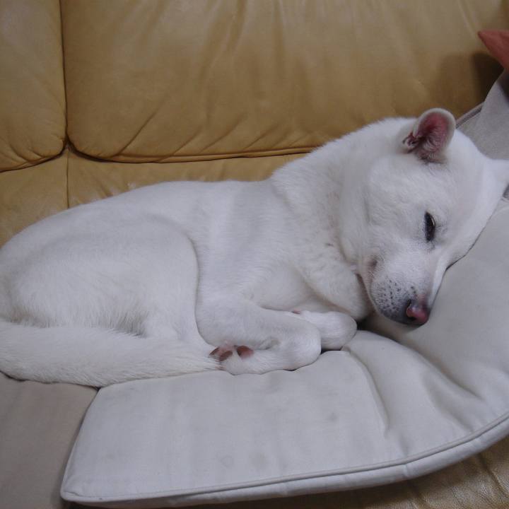 7a372c43 9fab 4f67 9699 fcd3bbfa5daf