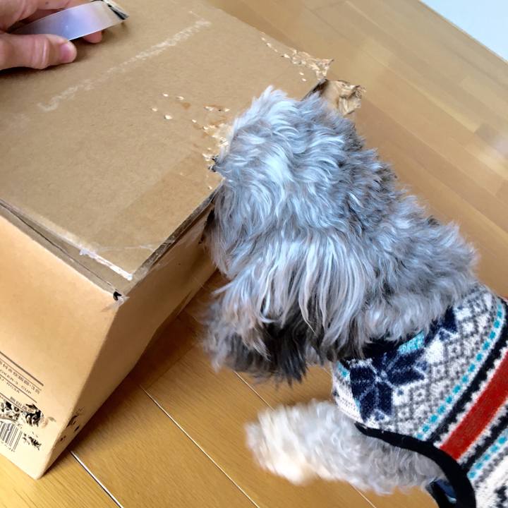 7a379c70 5d6a 4e88 8930 888d657be2ce