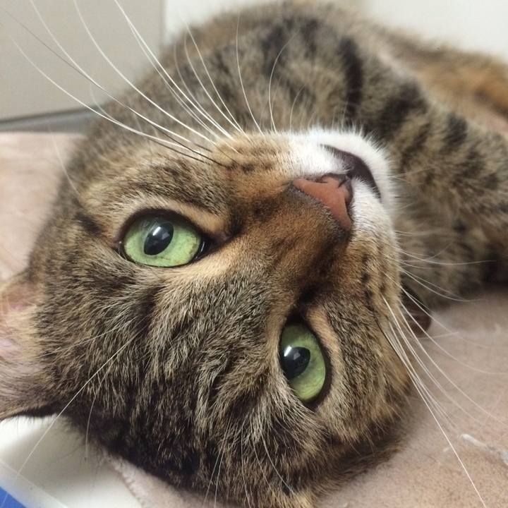 7a383398 65eb 45dc b5b5 ac02ad53f0dd