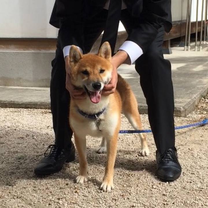 7a389abe 2f2c 48b5 98e0 f0902a93c3e6