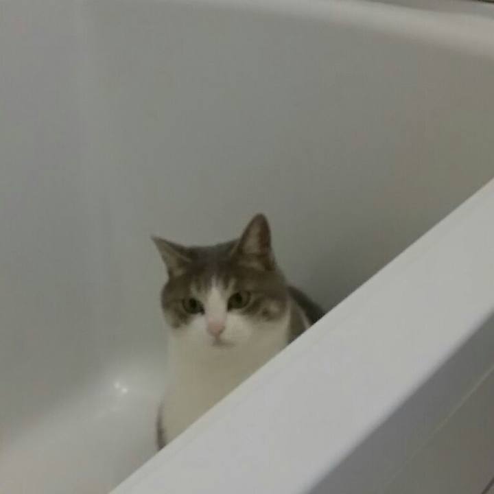 7a38ce3e 3128 4359 83d3 6b08b7d9fcb0