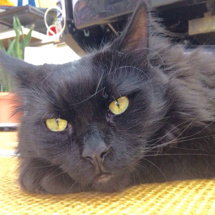 7a392f86 63f6 42b5 b02b b17a7f8174ab