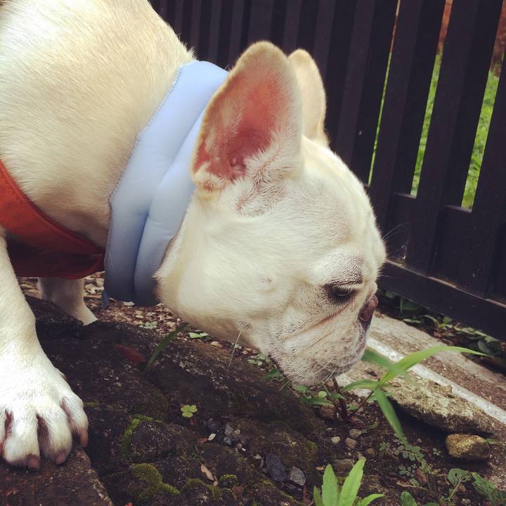 7a399e30 38ef 4ed6 8153 48d979285989