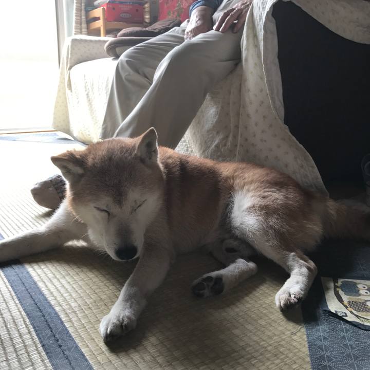 7a3a0acd f080 4d25 9c23 f374a05a2c67