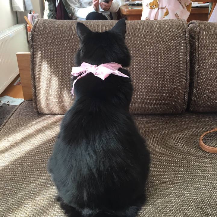 7a3a0ee2 b0ed 47af b07d 6caa9fcb562f