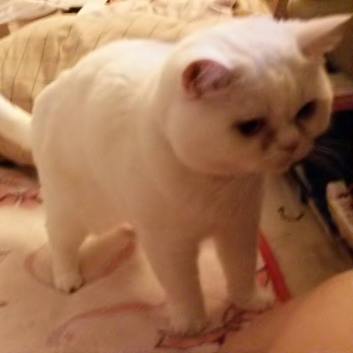 7a3b6201 c477 4052 9bdd a40b9bc061fa