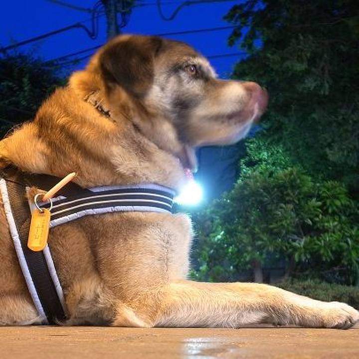 7a3c8e08 f558 45cd 981f 3db82215fbce