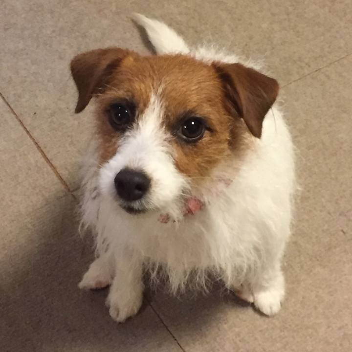 7a3d09b2 ded1 4aba a374 a1eaef5065b3