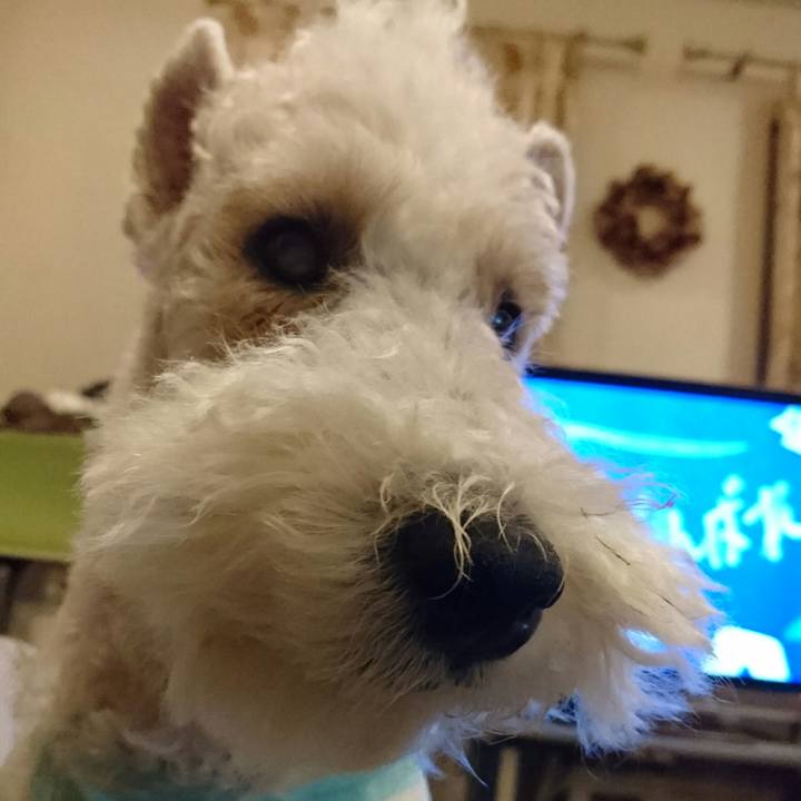 7a3d4dbe c063 4332 8ba5 3838f618c321